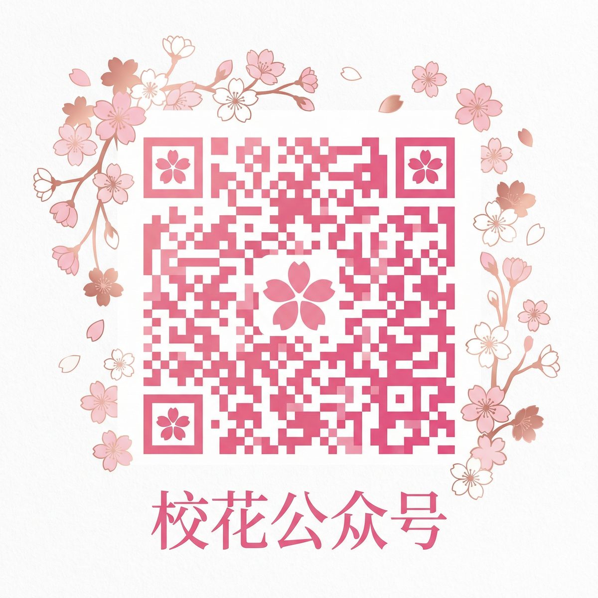 校花传媒公众号二维码